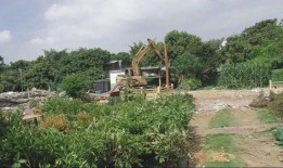 澄海违建最新爆料