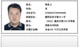 蒙阴县最新爆料信息网,揭秘当地热点事件与民生动态