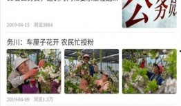 务川新闻爆料事件视频,视频揭露惊人真相