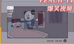 爆料很有趣的视频,那些让人捧腹大笑的神秘视频幕后故事