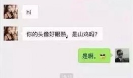 微信的那点事在线观看,在线观看背后的精彩瞬间
