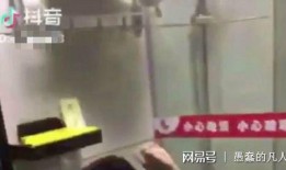 厕所视频在线观看,在线观看背后的秘密与启示