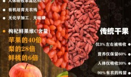 枸杞原浆制造爆料视频播放,视频带你一探究竟