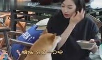 综艺八卦爆料最新视频播放,最新视频揭秘明星幕后故事，精彩瞬间不容错过！