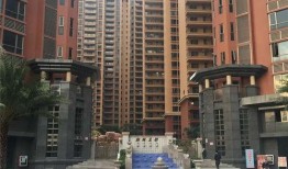 沙井租房爆料事件视频曝光,揭露租房乱象背后的真相