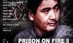 监狱风云2在线观看,复仇之路在线观影指南