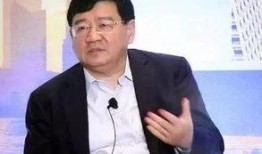 徐小平爆料亲戚视频大全,揭秘背后真相与争议