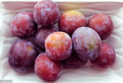 西梅加工爆料视频,从采摘到成品，一探究竟