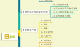 烤鱼上瘾爆料视频大全集,揭秘视频大全集背后的美食诱惑与疯狂