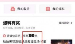 在头条上如何爆料新闻,如何高效、准确揭露新闻真相