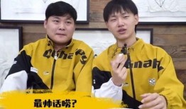 王鑫荣耀皮肤爆料视频,揭秘全新特效与设计亮点