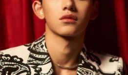 黄旭熙视频爆料资源