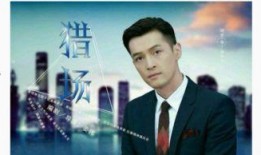 徐小平爆料亲戚视频大全,揭秘背后真相与争议
