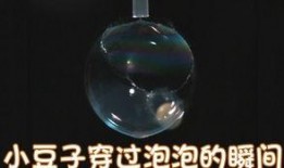 西瓜视频大铁锤爆料,揭秘娱乐圈幕后真相