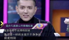 娱乐圈真实爆料吴亦凡,娱乐圈真实爆料背后的真相揭秘