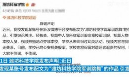校园爆料视频在线,一场意想不到的校园风云