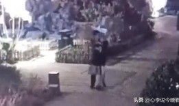 老街最新爆料视频播放,揭秘视频中的神秘瞬间
