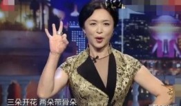 女歌手凌晨爆料视频大全,揭秘娱乐圈幕后真相