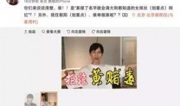 徐小平爆料亲戚视频大全,揭秘背后真相与争议
