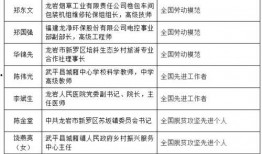 盲盒15级最新爆料,潮流玩具界的神秘面纱