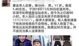 失踪男孩最新爆料视频,惊人细节曝光，真相渐浮水面