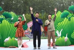 吴川学生爆料视频最新,校园事件真相曝光