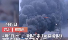 滕州最新爆料事件视频曝光,视频曝光事件引发社会关注