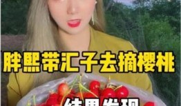 樱桃爆料的是真的吗视频,真相究竟如何？