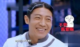 撒贝宁爆料王鸥视频,揭秘背后惊人真相