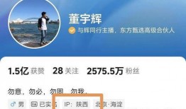 西安文旅爆料最新消息视频,揭秘视频背后的精彩瞬间