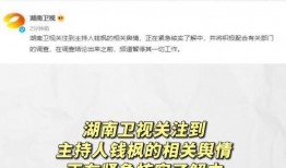 娱乐圈吃瓜账号叫什么,揭秘明星幕后故事