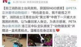 生活帮网友爆料视频大全,揭秘日常生活中的热点事件