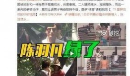 影帝和詹小胖爆料视频,揭秘娱乐圈幕后真相