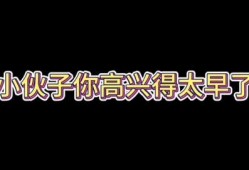 爆料国外可笑视频大全集,盘点那些让人捧腹大笑的国外视频集锦