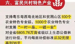 广东今日关注爆料有用吗,揭秘实用信息，助力生活便捷
