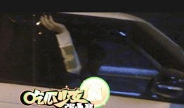 狗仔最新爆料王俊凯视频,狗仔最新爆料揭秘明星生活