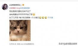 吃瓜师弟后续免费阅读,免费阅读背后的精彩故事
