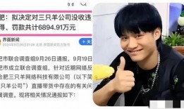 大杨嫂爆料网视频,真实事件背后的惊人真相