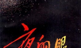 夜眼在线观看,揭秘神秘世界的在线奇观之旅