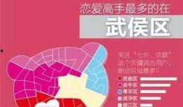 今日成都爆料新闻