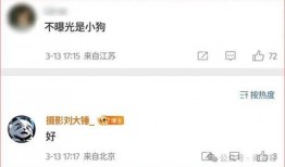 孙怡新恋情爆料视频播放,甜蜜互动引网友热议