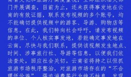 连云港导游爆料视频最新,视频曝光景区真实面貌，游客体验大揭秘！