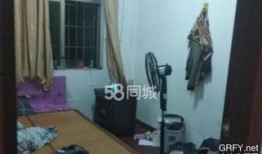 沙井租房爆料事件视频曝光,揭露租房乱象背后的真相