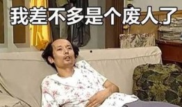 囡囡在线观看西瓜,青春校园的甜蜜邂逅