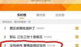 卓伟最火爆料视频网盘,揭秘最火爆料视频网盘内幕