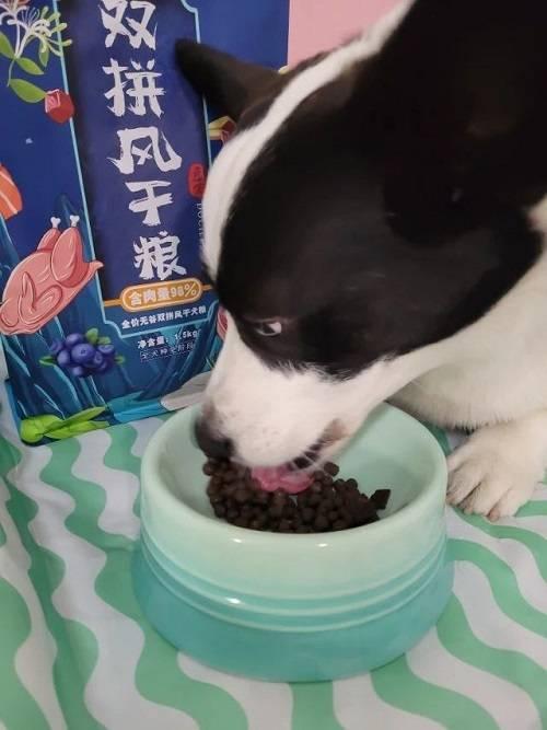 娱乐吃瓜君二豆猫,揭秘娱乐圈那些不为人知的幕后故事